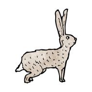 hare illustration N2