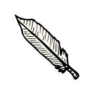 feather illustration N3