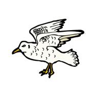 Seagull Illustration N4