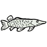 Fish Illustration N15