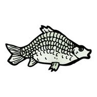 Fish Illustration N16