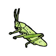 Grasshopper Cartoon N3