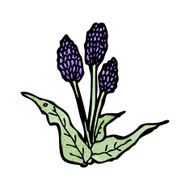 wild flowers cartoon N10