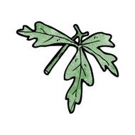 leaf illustration N6