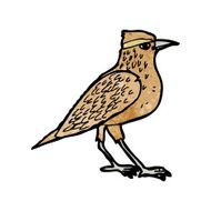 garden bird illustration N5