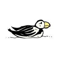 Puffin Cartoon N4