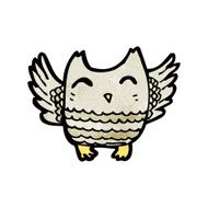 Cartoon Little Owl N15