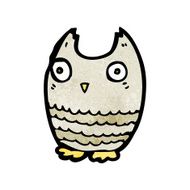 Cartoon Little Owl N16