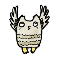 Cartoon Little Owl N17