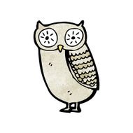 Cartoon Little Owl N19