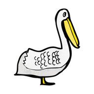 Cartoon Pelican N17