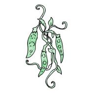 peas cartoon N2