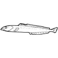 cartoon black and white fish drawing N2