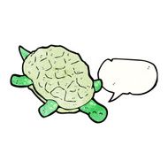 Cartoon Turtle N31