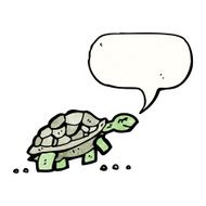 Cartoon Tortoise N47