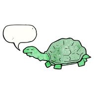 Cartoon Tortoise N49
