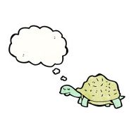 Cartoon Tortoise N50