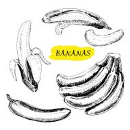 Bananas N2