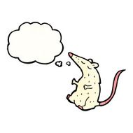 cartoon white lab rat N8