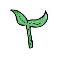 cartoon seedling N10