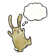 Cartoon Rabbit N172