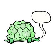 Cartoon Giant Tortoise N2