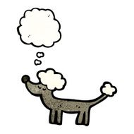 cartoon poodle with thought bubble N6