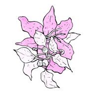 flowers illustration N19