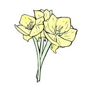 flowers illustration N20