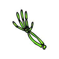 cartoon skeleton arm N10