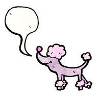 Cartoon Poodle N33