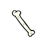 Cartoon Bone N24