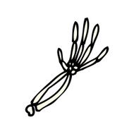 cartoon skeleton arm N13