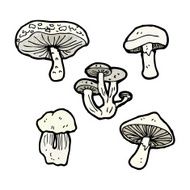 Cartoon Mushrooms N16