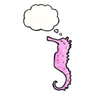 Cartoon Seahorse N41