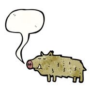 cartoon boar N5