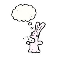 Funny bunny N6