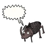 Cartoon Beetle N54