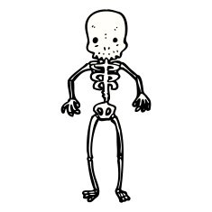 Cartoon Skeleton N20