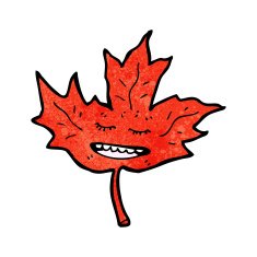 cartoon red leaf N3