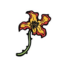 cartoon rare flower N3
