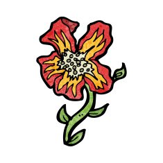 cartoon rare flower N4