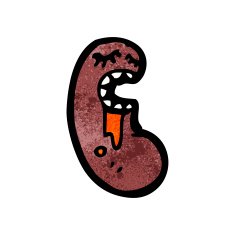 cartoon kidney N8