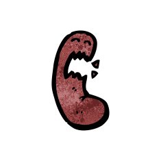 cartoon kidney N9