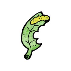cartoon leaf and caterpillar N6