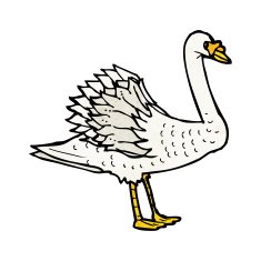 swan illustration N3