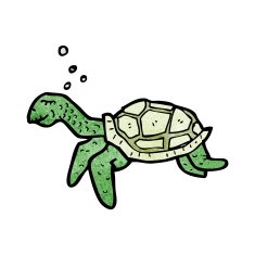 Sea Turtle Cartoon N3