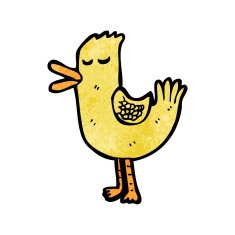 caroton duck N4