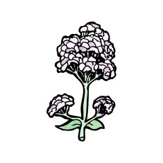 wild flowers cartoon N7