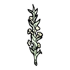 wildflowers illustration N6